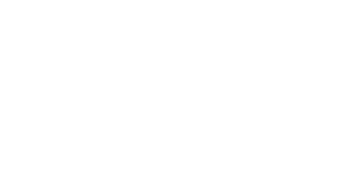 VIVA Carpe Diem